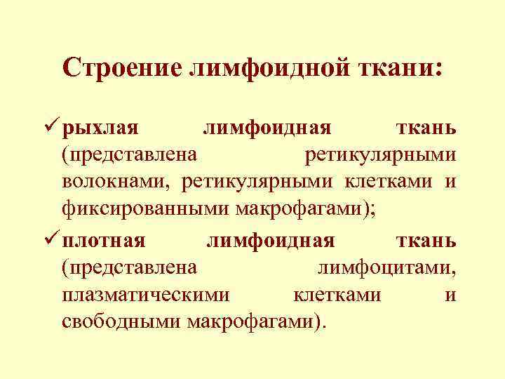 Строение лимфоидной ткани: ü рыхлая лимфоидная ткань (представлена ретикулярными волокнами, ретикулярными клетками и фиксированными