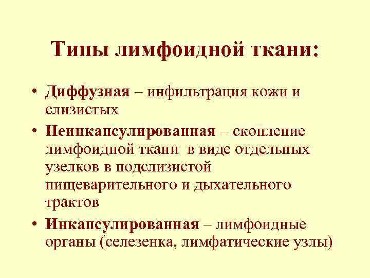 Типы лимфоидной ткани: • Диффузная – инфильтрация кожи и слизистых • Неинкапсулированная – скопление