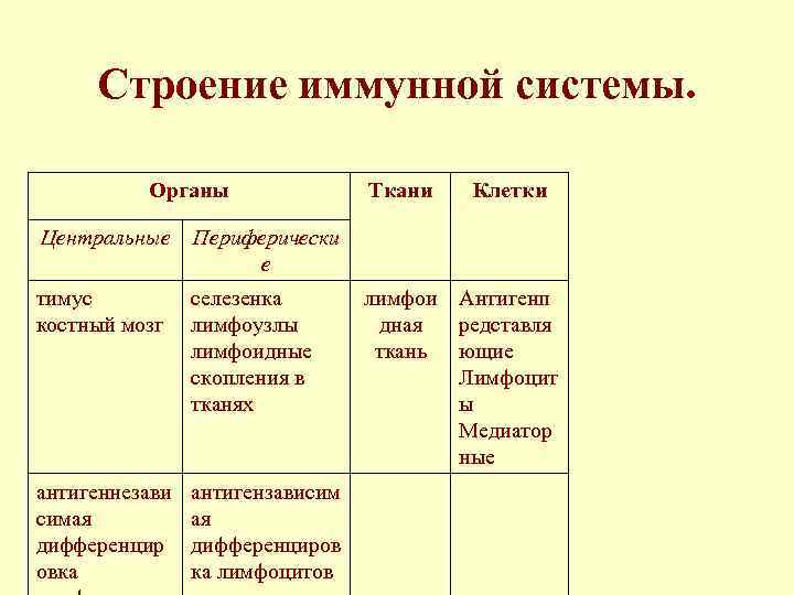 Функции иммунной системы схема