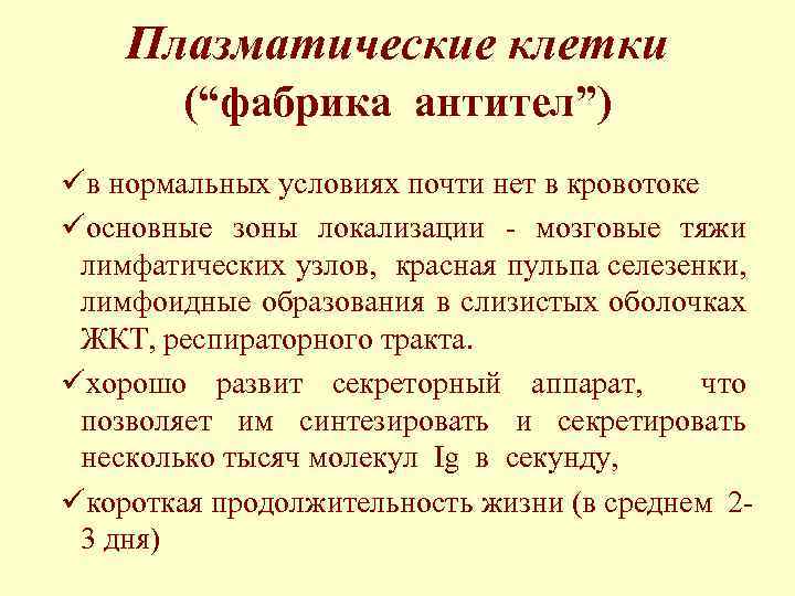 Плазматические клетки (“фабрика антител”) üв нормальных условиях почти нет в кровотоке üосновные зоны локализации