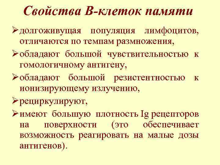 Свойства В-клеток памяти Ø долгоживущая популяция лимфоцитов, отличаются по темпам размножения, Ø обладают большой
