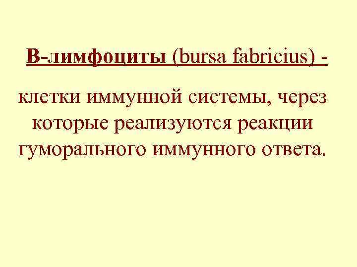 В-лимфоциты (bursa fabricius) клетки иммунной системы, через которые реализуются реакции гуморального иммунного ответа. 