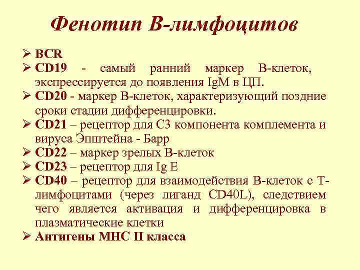 Фенотип В-лимфоцитов Ø BCR Ø CD 19 - самый ранний маркер В-клеток, экспрессируется до
