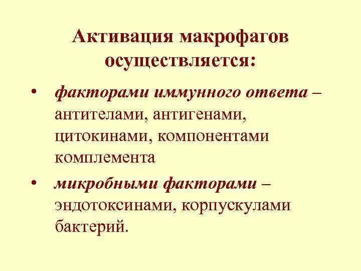 Активация макрофагов осуществляется: • факторами иммунного ответа – антителами, антигенами, цитокинами, компонентами комплемента •