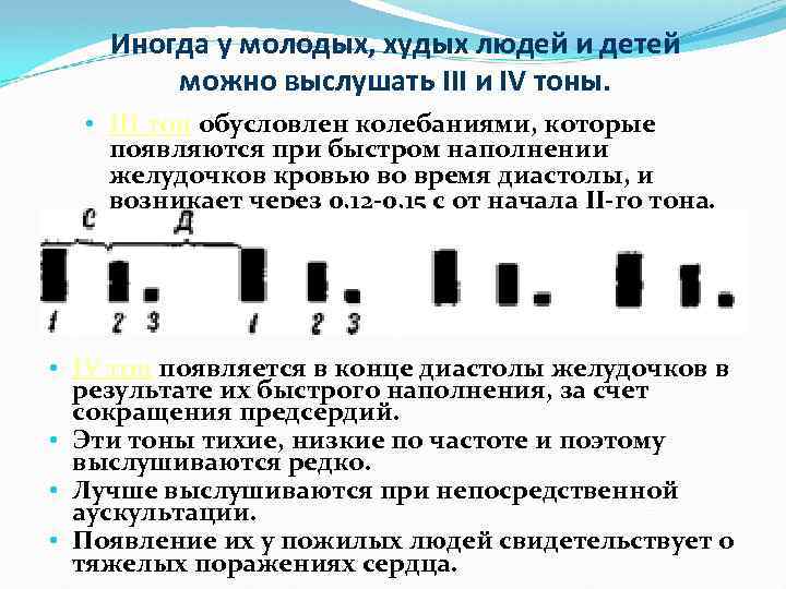 Иногда у молодых, худых людей и детей можно выслушать III и IV тоны. •