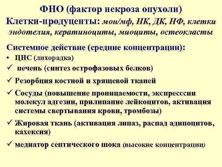ФНО (фактор некроза опухоли) Клетки-продуценты: мон/мф, НК, ДК, НФ, клетки эндотелия, кератиноциты, миоциты, остеокласты
