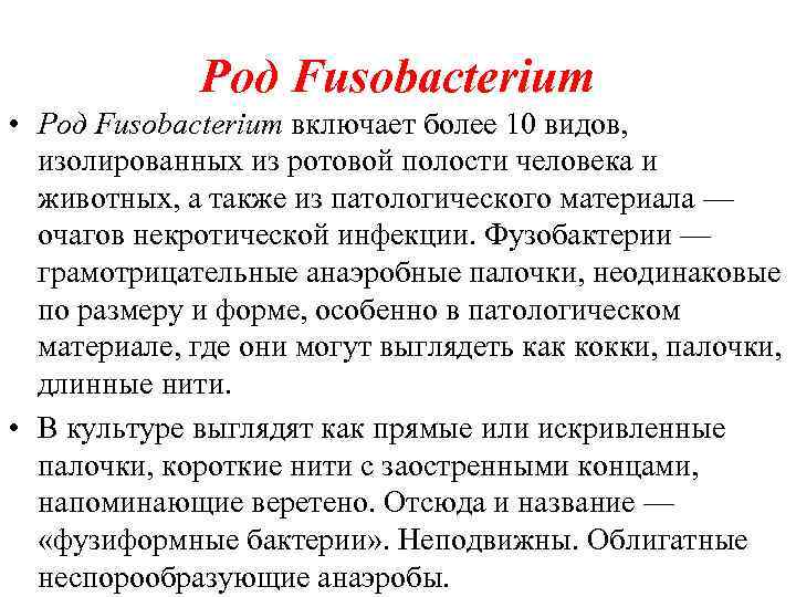 Род Fusobacterium • Род Fusobacterium включает более 10 видов, изолированных из ротовой полости человека