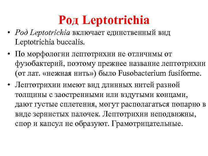 Род Leptotrichia • Род Leptotrichia включает единственный вид Leptotrichia buccalis. • По морфологии лептотрихии