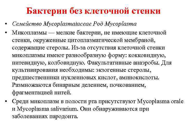 Бактерии без клеточной стенки • Семейство Мусорlasmataceae Род Mycoplasma • Микоплазмы — мелкие бактерии,