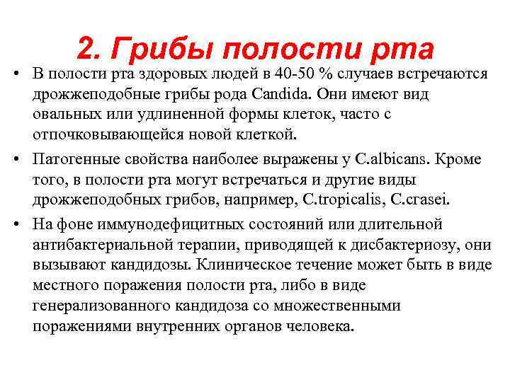 2. Грибы полости рта • В полости рта здоровых людей в 40 -50 %