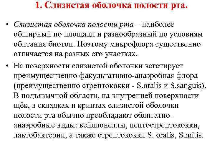 1. Слизистая оболочка полости рта. • Слизистая оболочка полости рта – наиболее обширный по
