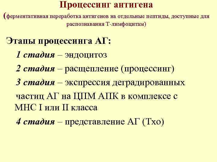 Процессинг антигена (ферментативная переработка антигенов на отдельные пептиды, доступные для распознавания Т-лимфоцитам) Этапы процессинга