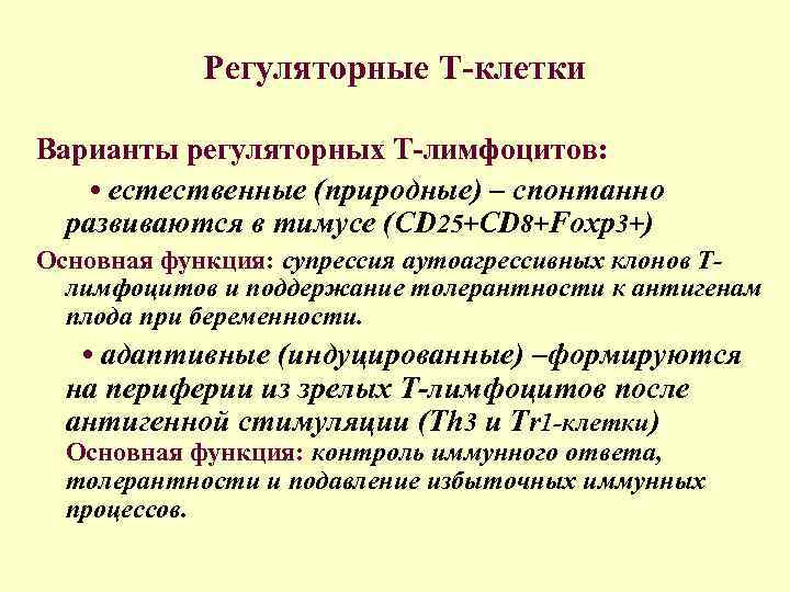 Регуляторные Т-клетки Варианты регуляторных Т-лимфоцитов: • естественные (природные) – спонтанно развиваются в тимусе (CD