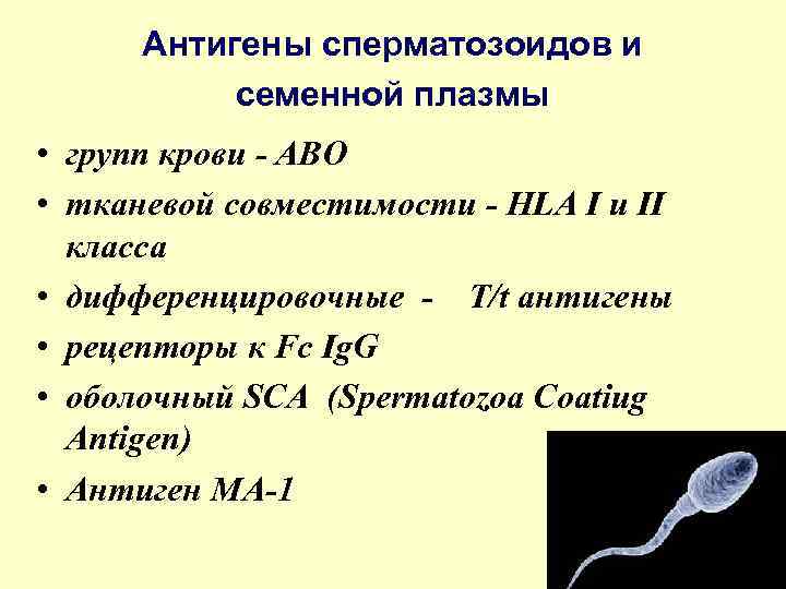 Антигены сперматозоидов и семенной плазмы • групп крови - АВО • тканевой совместимости -
