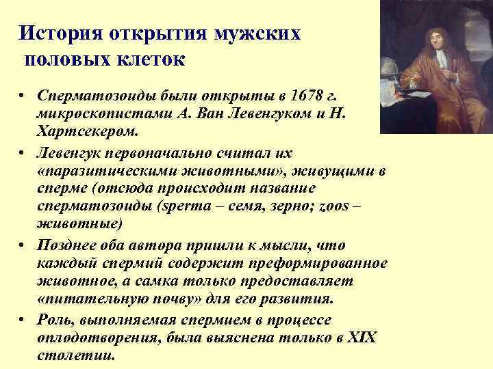 История открытия мужских половых клеток • Сперматозоиды были открыты в 1678 г. микроскопистами А.