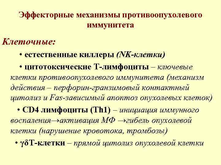 Эффекторные механизмы противоопухолевого иммунитета Клеточные: • естественные киллеры (NK-клетки) • цитотоксические Т-лимфоциты – ключевые