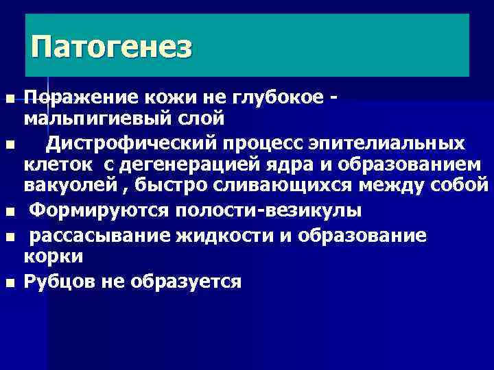 Патогенез n n n Поражение кожи не глубокое мальпигиевый слой Дистрофический процесс эпителиальных клеток