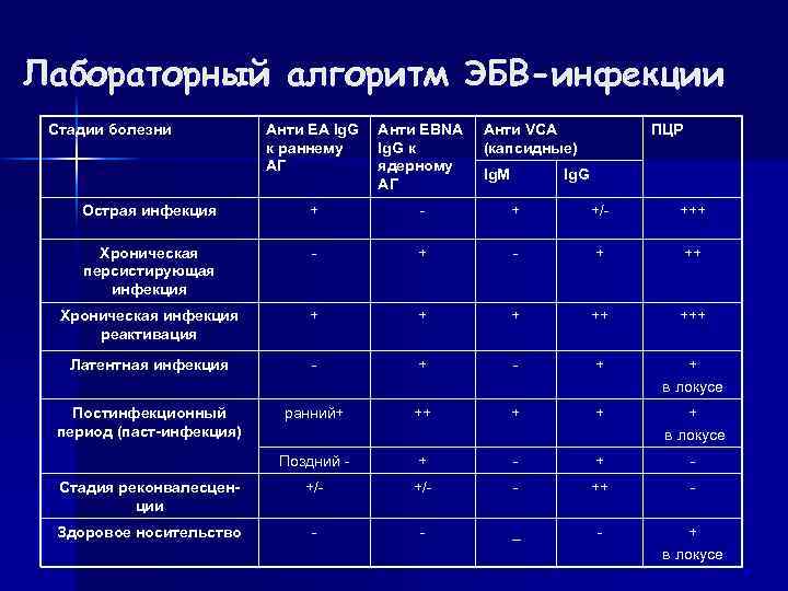 Лабораторный алгоритм ЭБВ-инфекции Стадии болезни Анти ЕА Ig. G к раннему АГ Анти EBNA