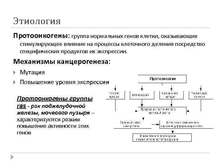 Этиология Протоонкогены: группа нормальных генов клетки, оказывающих стимулирующее влияние на процессы клеточного деления посредство