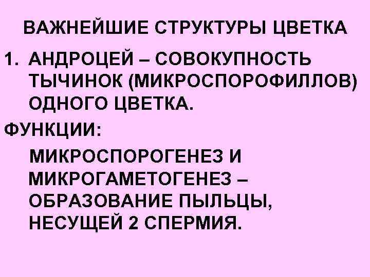 ВАЖНЕЙШИЕ СТРУКТУРЫ ЦВЕТКА 1. АНДРОЦЕЙ – СОВОКУПНОСТЬ ТЫЧИНОК (МИКРОСПОРОФИЛЛОВ) ОДНОГО ЦВЕТКА. ФУНКЦИИ: МИКРОСПОРОГЕНЕЗ И