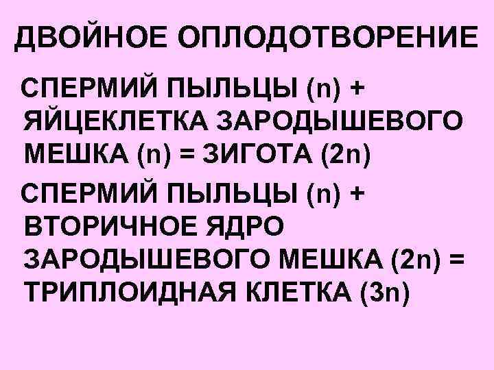 ДВОЙНОЕ ОПЛОДОТВОРЕНИЕ СПЕРМИЙ ПЫЛЬЦЫ (n) + ЯЙЦЕКЛЕТКА ЗАРОДЫШЕВОГО МЕШКА (n) = ЗИГОТА (2 n)