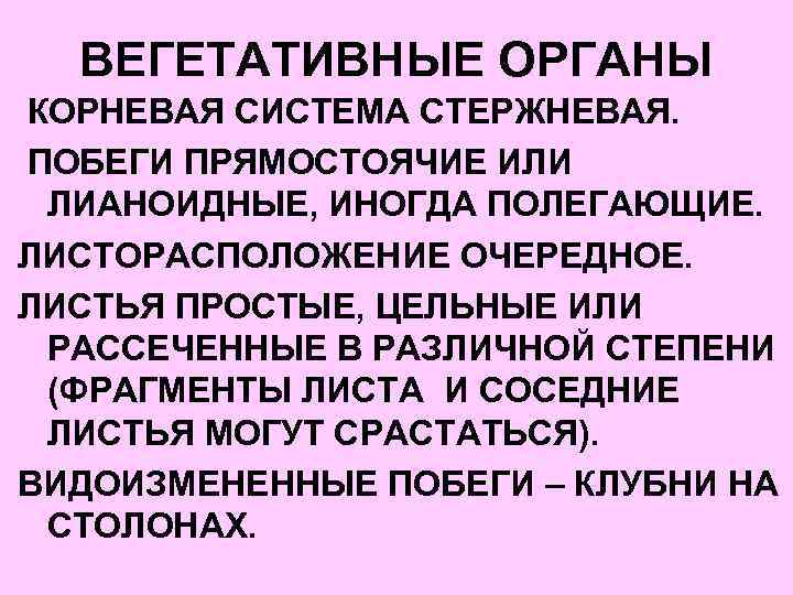 ВЕГЕТАТИВНЫЕ ОРГАНЫ КОРНЕВАЯ СИСТЕМА СТЕРЖНЕВАЯ. ПОБЕГИ ПРЯМОСТОЯЧИЕ ИЛИ ЛИАНОИДНЫЕ, ИНОГДА ПОЛЕГАЮЩИЕ. ЛИСТОРАСПОЛОЖЕНИЕ ОЧЕРЕДНОЕ. ЛИСТЬЯ