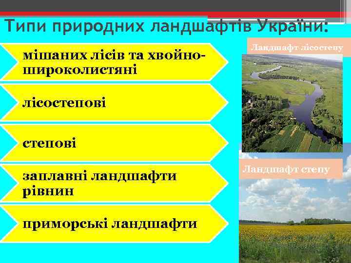 Типи природних ландшафтів України: мішаних лісів та хвойношироколистяні Ландшафт лісостепу лісостепові заплавні ландшафти рівнин