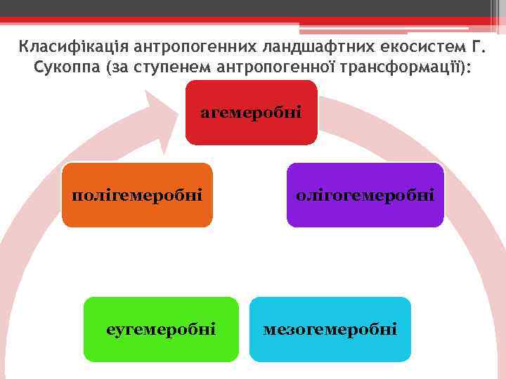 Класифікація антропогенних ландшафтних екосистем Г. Сукоппа (за ступенем антропогенної трансформації): агемеробні полігемеробні еугемеробні олігогемеробні