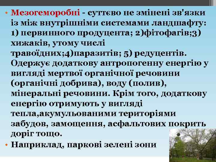  • Мезогеморобні - суттєво не змінені зв'язки із між внутрішніми системами ландшафту: 1)