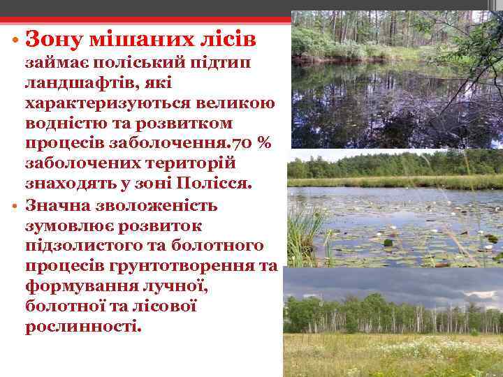  • Зону мішаних лісів займає поліський підтип ландшафтів, які характеризуються великою водністю та