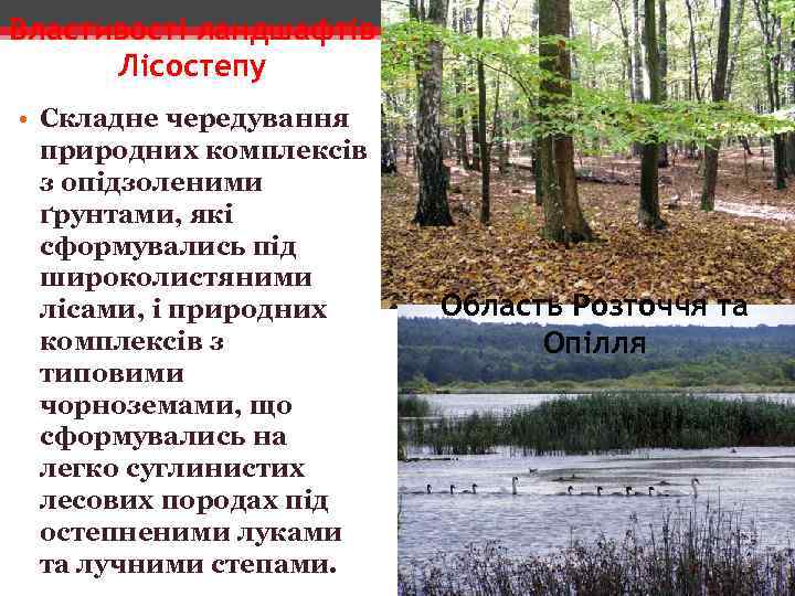 Властивості ландшафтів Лісостепу • Складне чередування природних комплексів з опідзоленими ґрунтами, які сформувались під