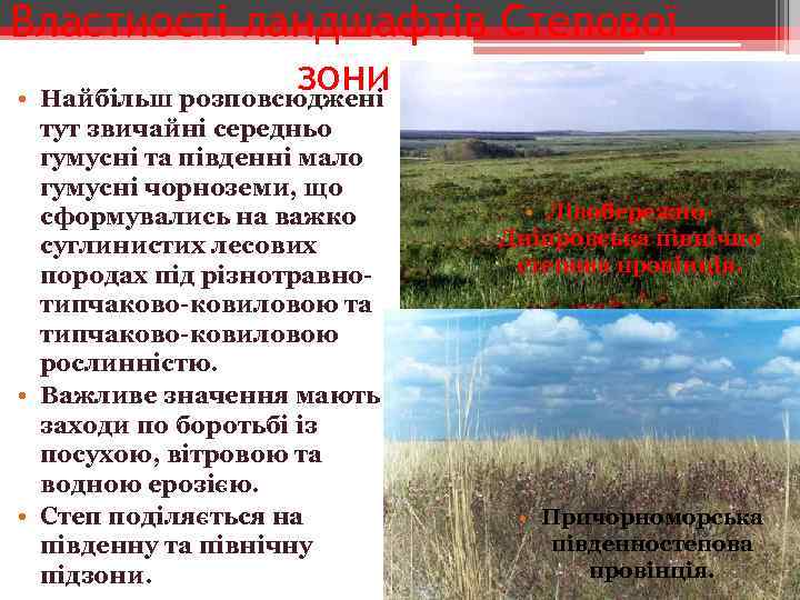 Властиості ландшафтів Степової зони • Найбільш розповсюджені тут звичайні середньо гумусні та південні мало