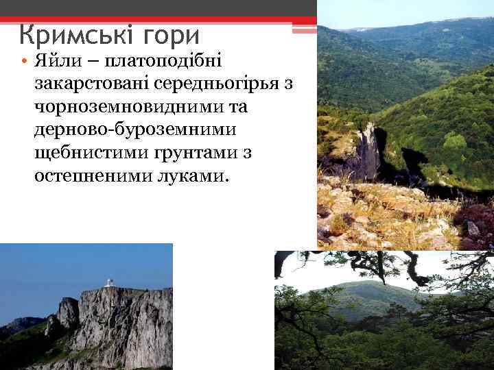 Кримські гори • Яйли – платоподібні закарстовані середньогірья з чорноземновидними та дерново-буроземними щебнистими грунтами