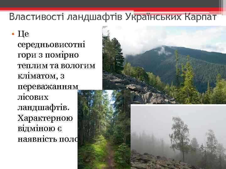 Властивості ландшафтів Українських Карпат • Це середньовисотні гори з помірно теплим та вологим кліматом,