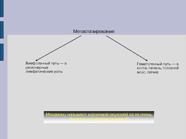 Метастазирование Лимфогенный путь — в регионарные лимфатические узлы Гематогенный путь — в кости, печень,