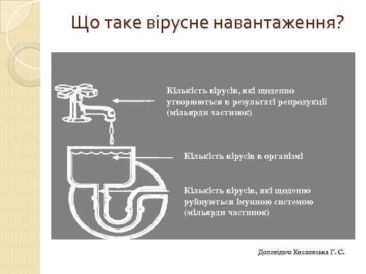 Що таке вірусне навантаження? Кількість вірусів, які щоденно утворюються в результаті репродукції (мільярди частинок)