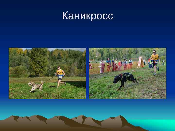 Каникросс 