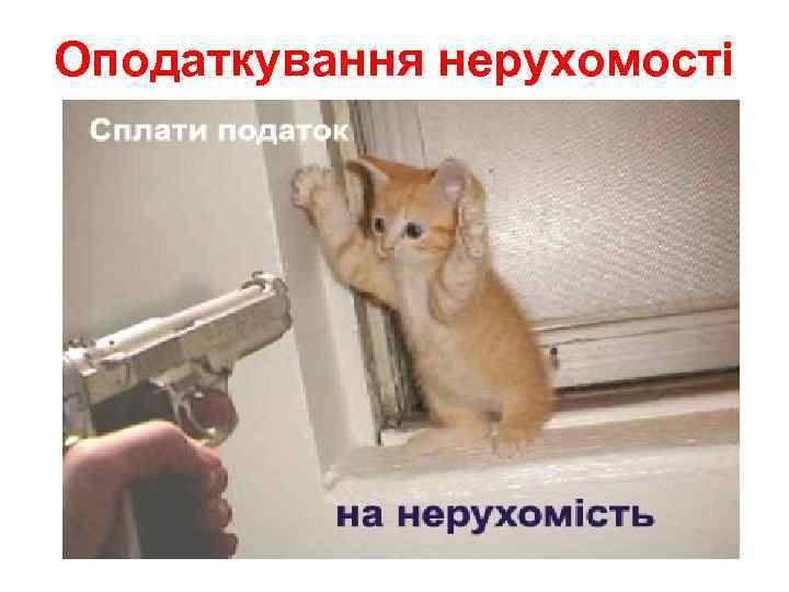 Оподаткування нерухомості 