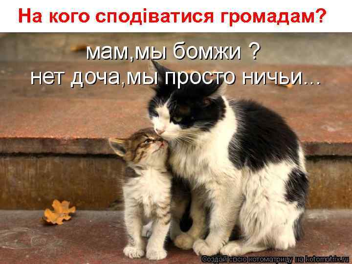 На кого сподіватися громадам? 