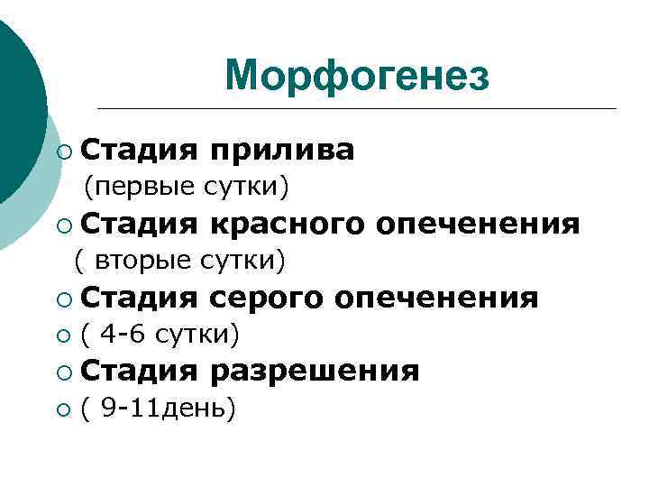 Морфогенез ¡ Стадия прилива (первые сутки) ¡ Стадия красного опеченения ( вторые сутки) ¡