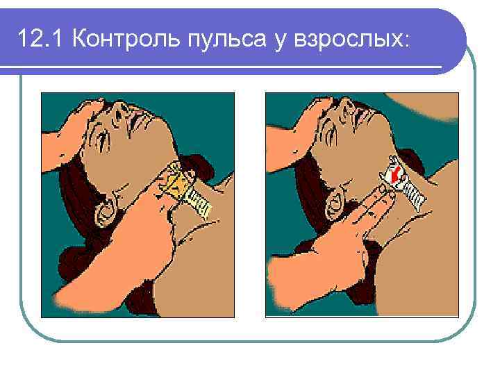 12. 1 Контроль пульса у взрослых: 