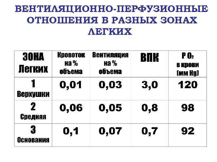 ВЕНТИЛЯЦИОННО-ПЕРФУЗИОННЫЕ ОТНОШЕНИЯ В РАЗНЫХ ЗОНАХ ЛЕГКИХ 