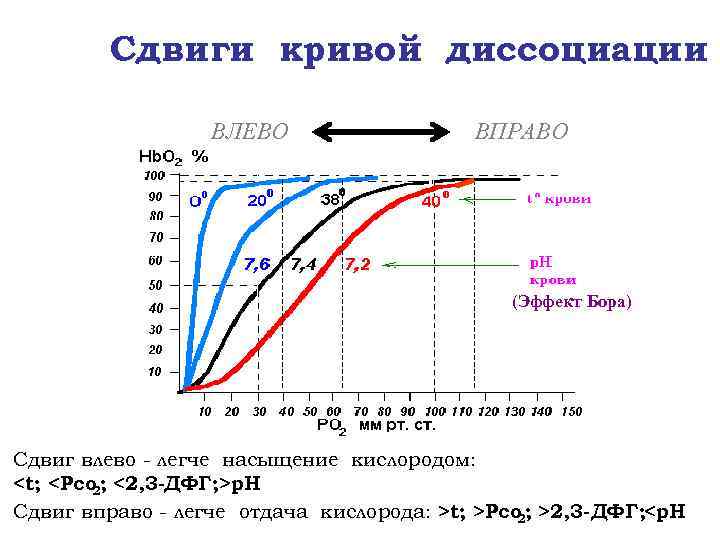 Сдвиги кривой диссоциации ВЛЕВО ВПРАВО (Эффект Бора) Сдвиг влево - легче насыщение кислородом: <t;