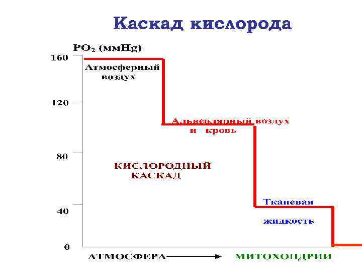 Каскад кислорода 