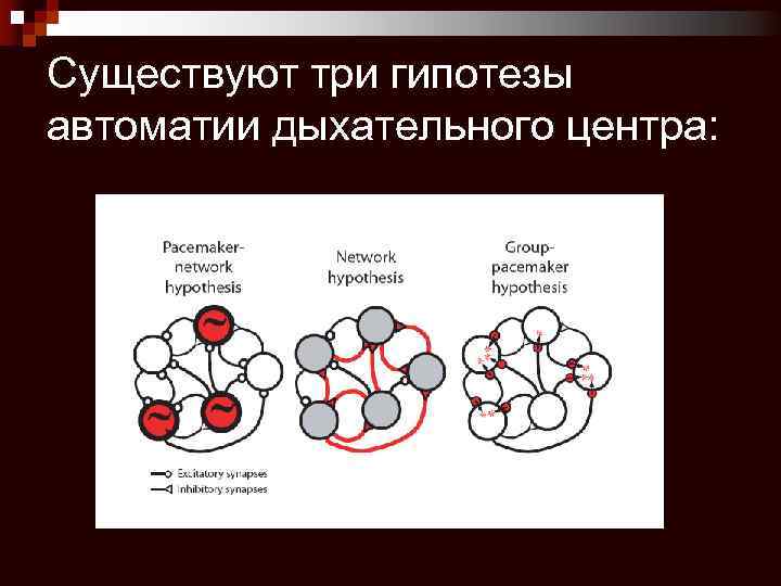 Существуют три гипотезы автоматии дыхательного центра: 