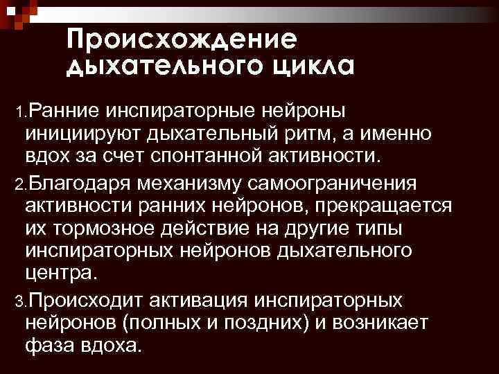 Происхождение дыхательного цикла 1. Ранние инспираторные нейроны инициируют дыхательный ритм, а именно вдох за
