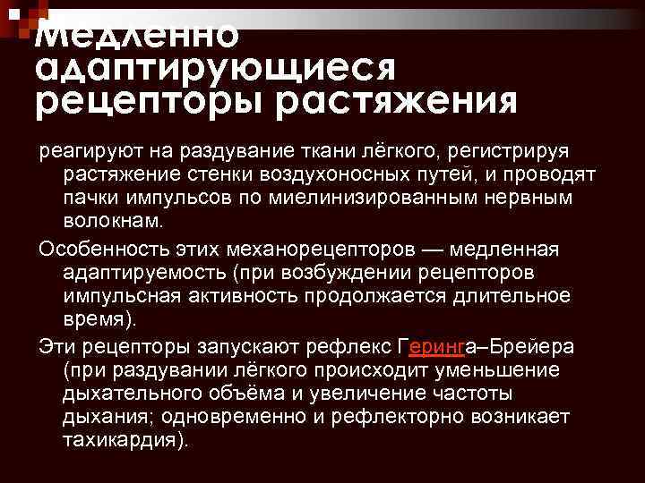 Рецепторы растяжения легких это. J рецепторы легких. Рецепторы воздухоносных путей. Легочные рецепторы растяжения. Юкстакапиллярные рецепторы.