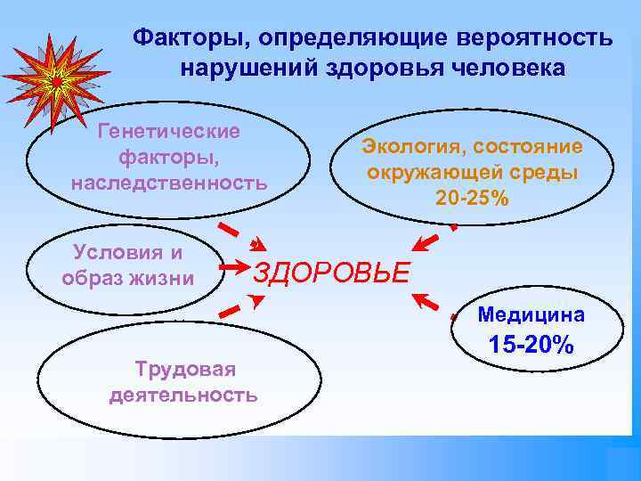 Факторы, определяющие вероятность нарушений здоровья человека Генетические факторы, наследственность Условия и образ жизни Экология,