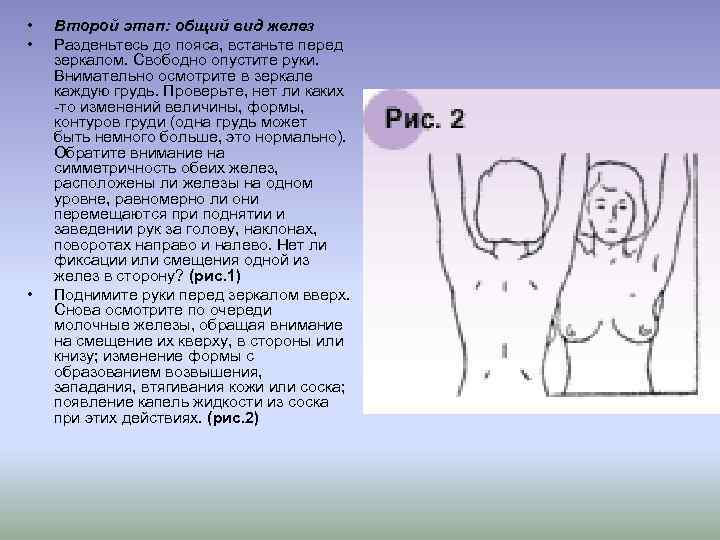  • • • Второй этап: общий вид желез Разденьтесь до пояса, встаньте перед