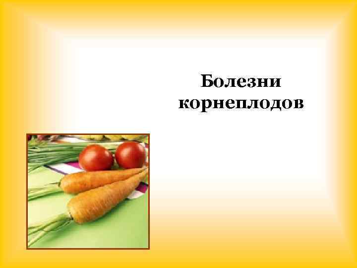 Болезни корнеплодов 